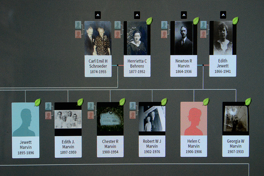 In progress is the Schroeder-Donlan family tree, that Eric Schubert, 16, of Medford Lakes, is currently working on, 