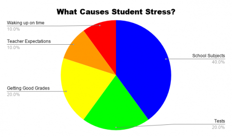 reasons why homework stresses students out