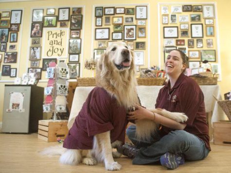 Pride Paws - A Medford Non-Profit That Gives Back To The Community